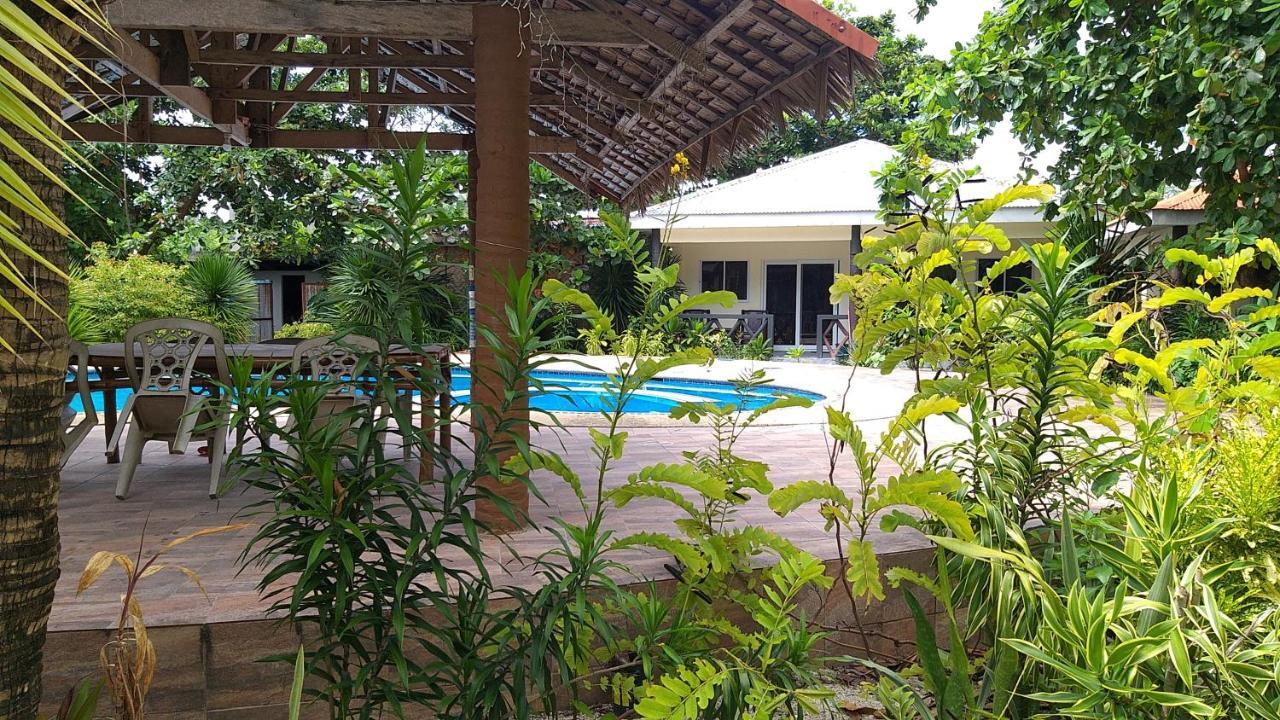 The Shark'S Tail Dive Resort Malapascua Buitenkant foto