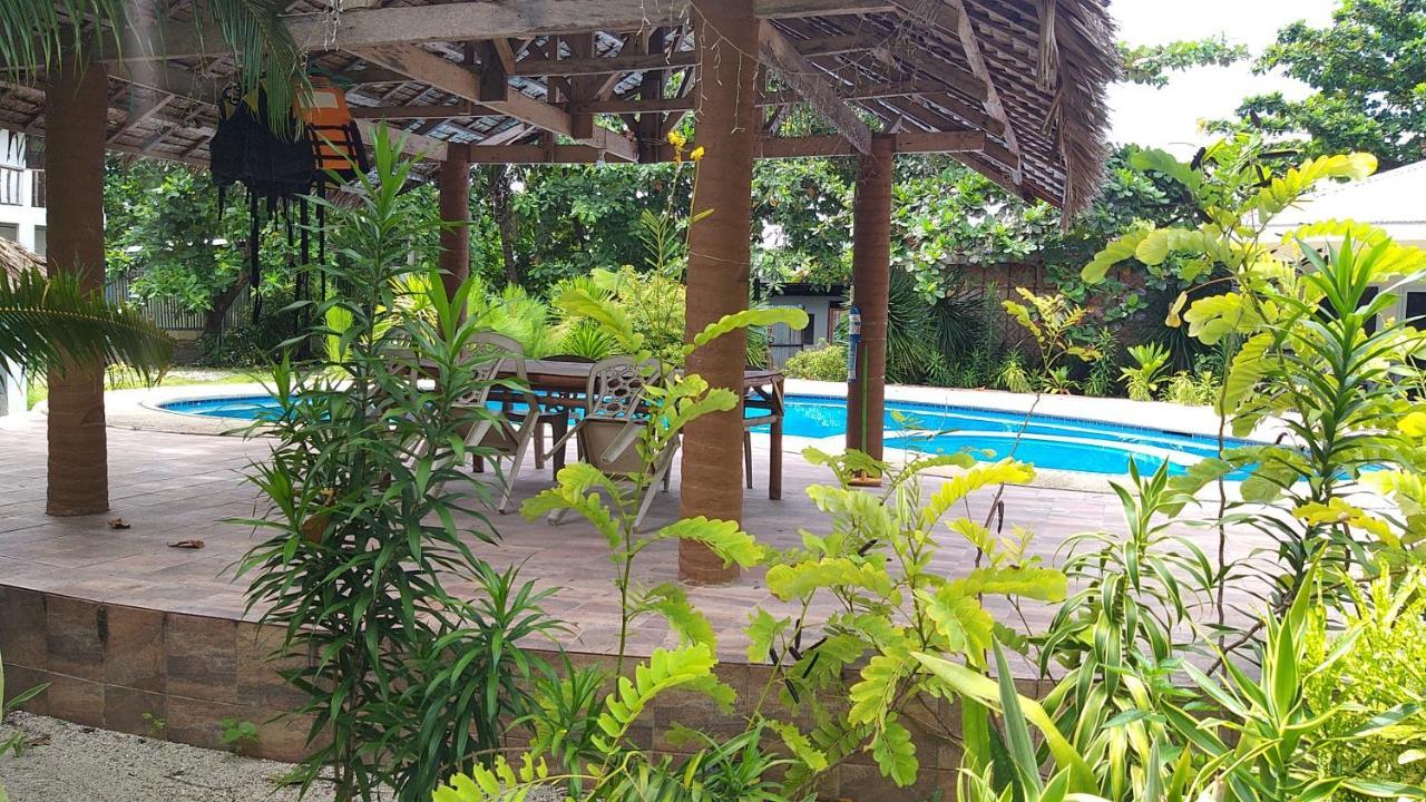 The Shark'S Tail Dive Resort Malapascua Buitenkant foto